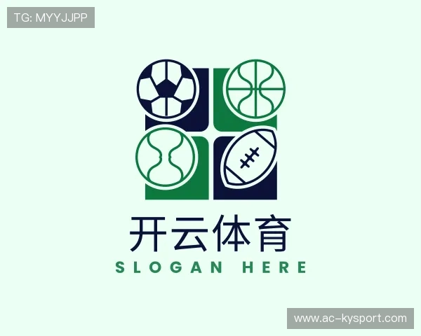 了解开云app功能